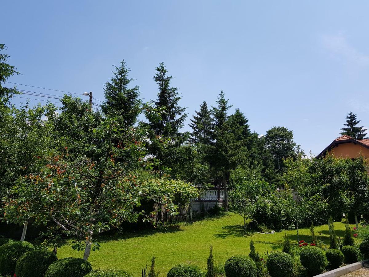 Apartment Paradise Enver Dubrave Gornje Ngoại thất bức ảnh